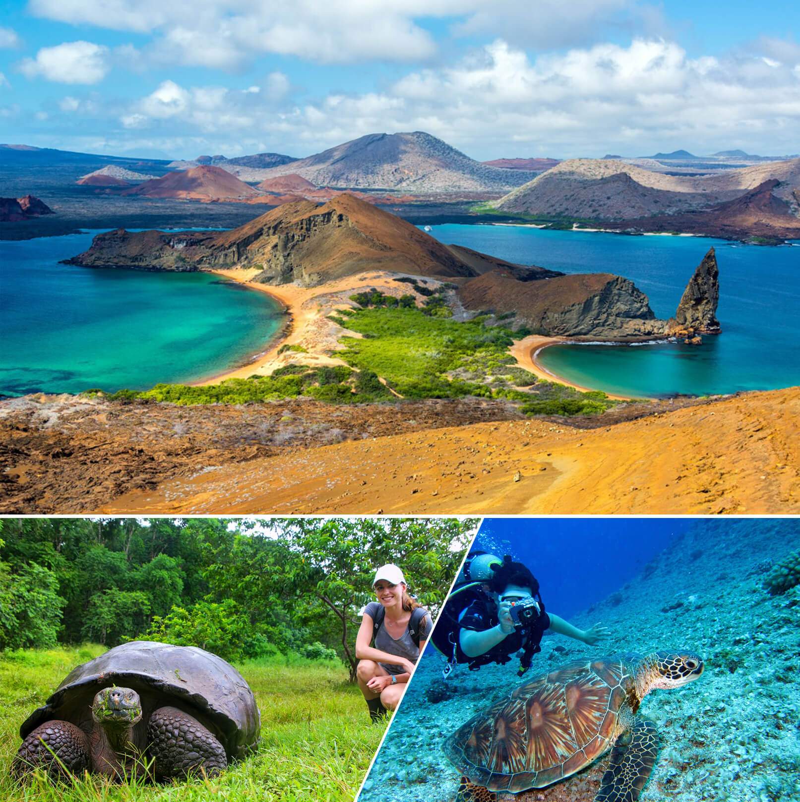 Galapagos Islands 