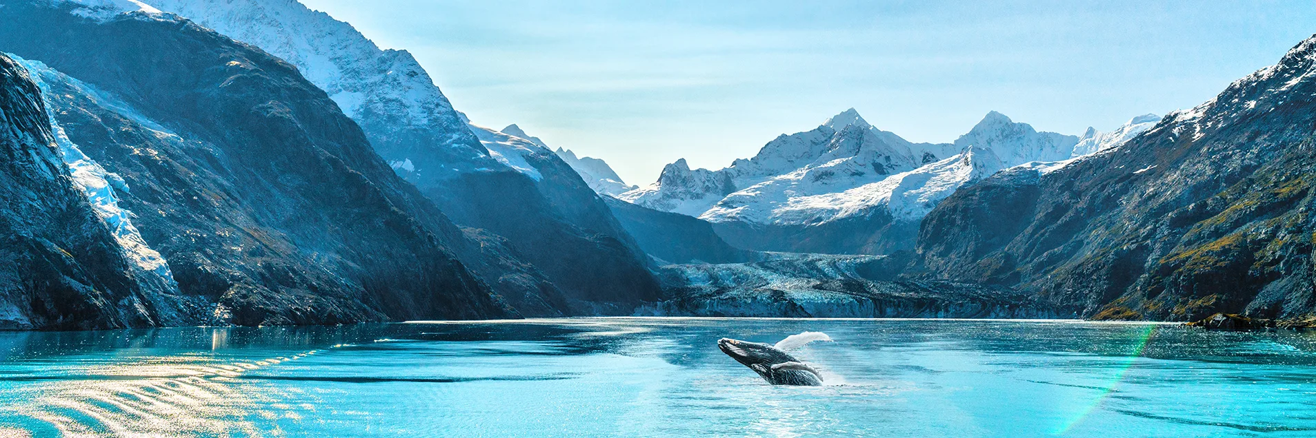 Alaska luxury cruise travel panoramic. Scenery landscape panorama with humpback whale composite breaching out of waters on glacier bay background.